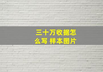 三十万收据怎么写 样本图片